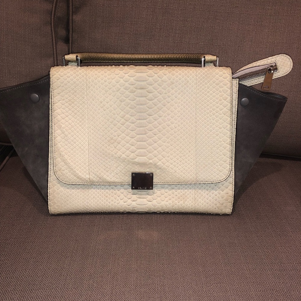 Cline Trapeze Bag With Python - image 1